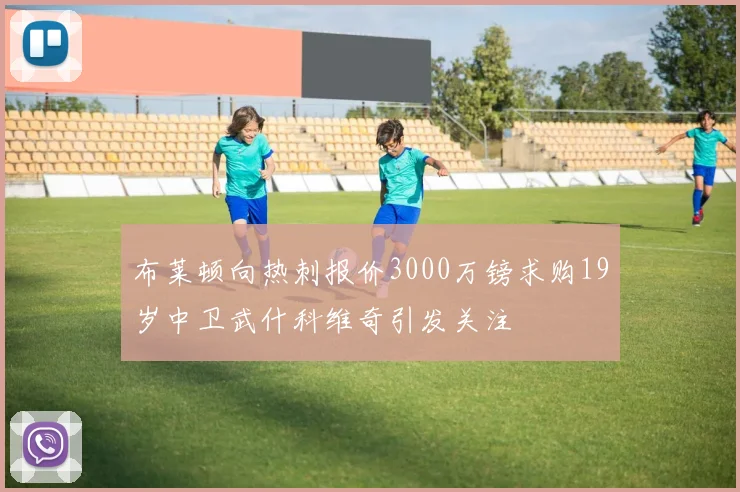 布莱顿向热刺报价3000万镑求购19岁中卫武什科维奇引发关注