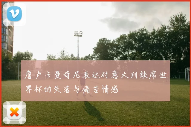 詹卢卡曼奇尼表达对意大利缺席世界杯的失落与痛苦情感